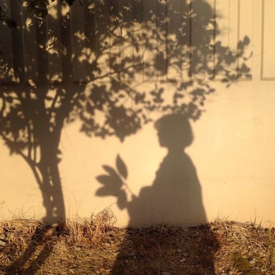 53f9681e323005ea4251736440abaa3f