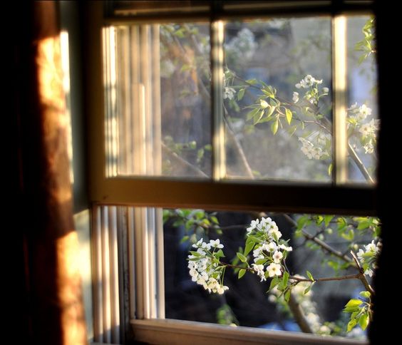 7aa60cd6ba7721c04c10d79f118e2cd5