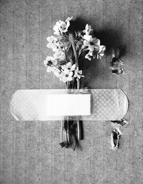 2339a7a9b2bd834c74bff4a49ea493d6